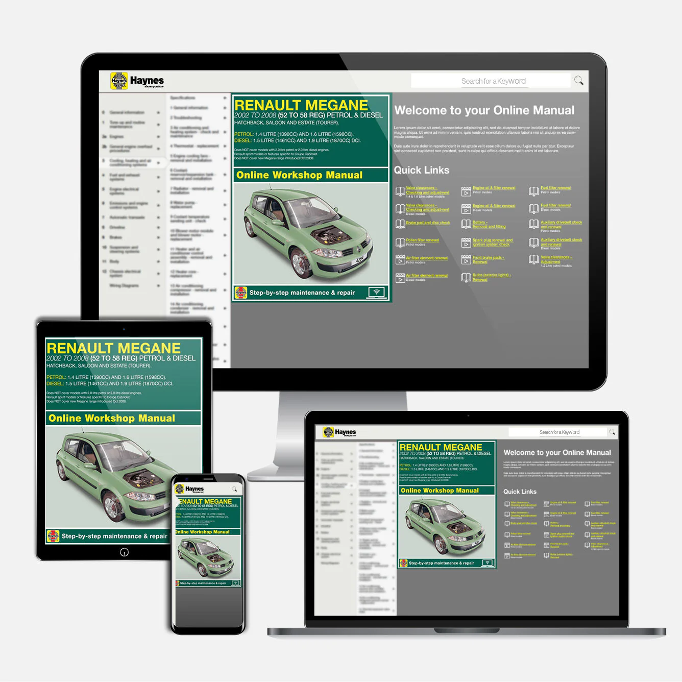 Renault Megane Petrol & Diesel (Oct 2002-2008) Haynes Repair Manual - Image 9