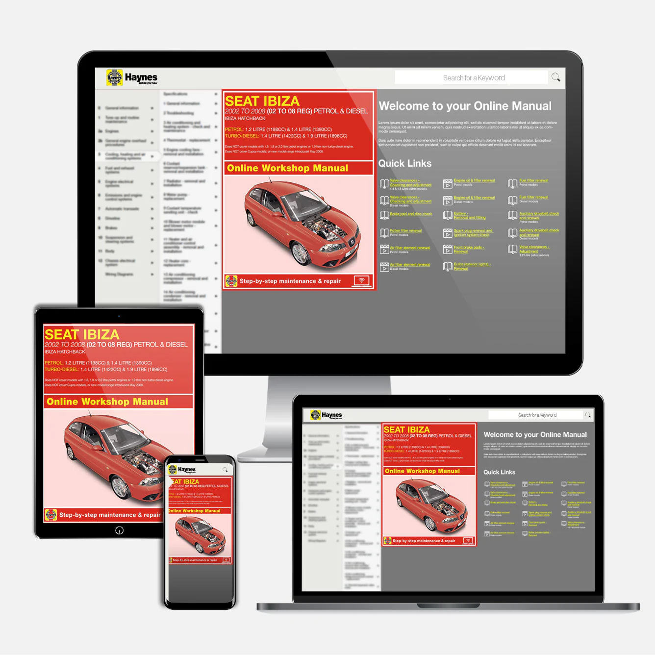 Seat Ibiza Petrol & Diesel (May 2002-Apr 2008) Haynes Repair Manual - Image 9