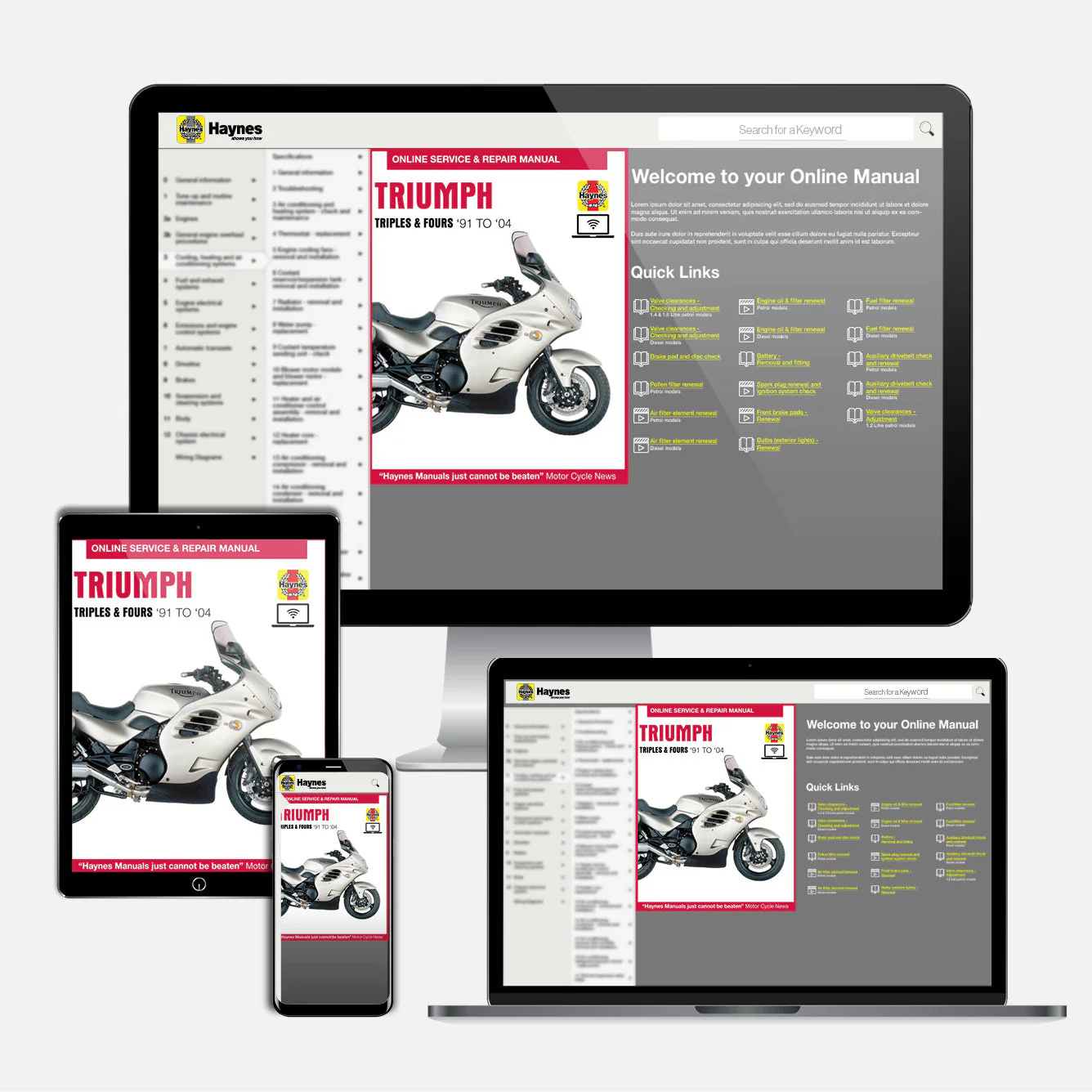 Triumph Triples & Fours (carburettor engines) (1991-2004) Haynes Repair Manual - Image 9